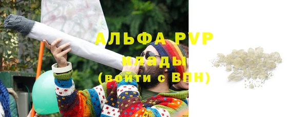 шишки Беслан