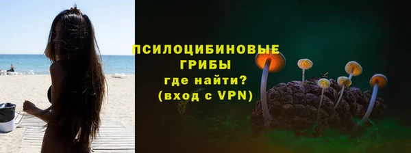хмурый Билибино