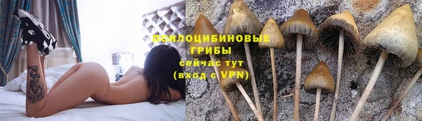 хмурый Билибино